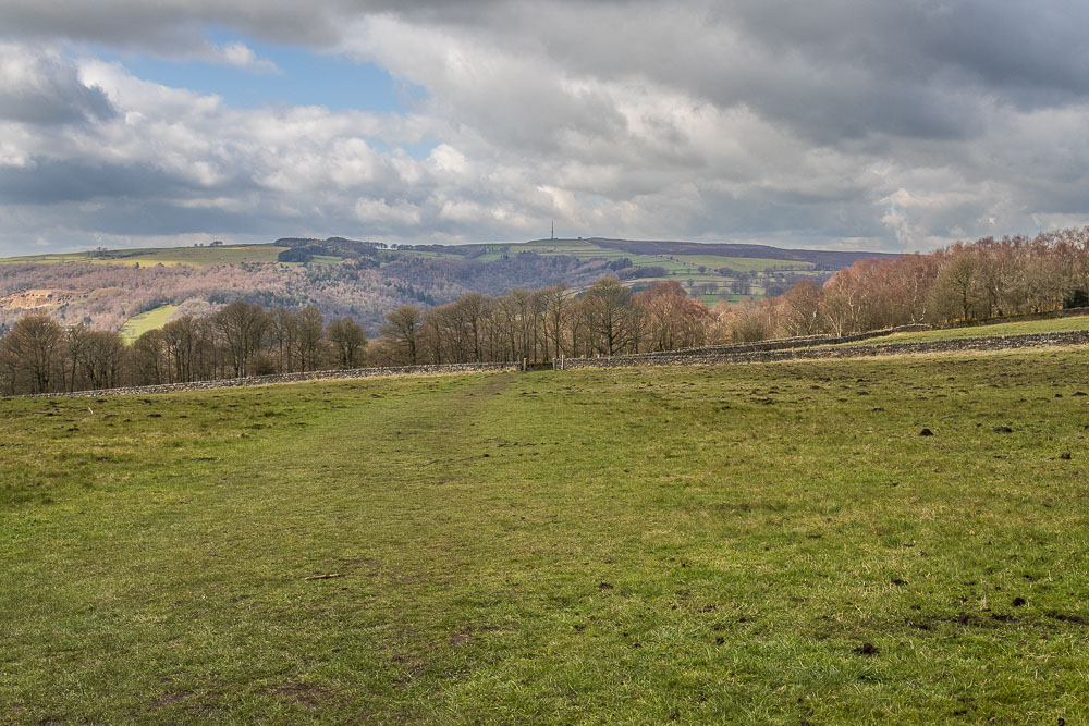Hay Wood